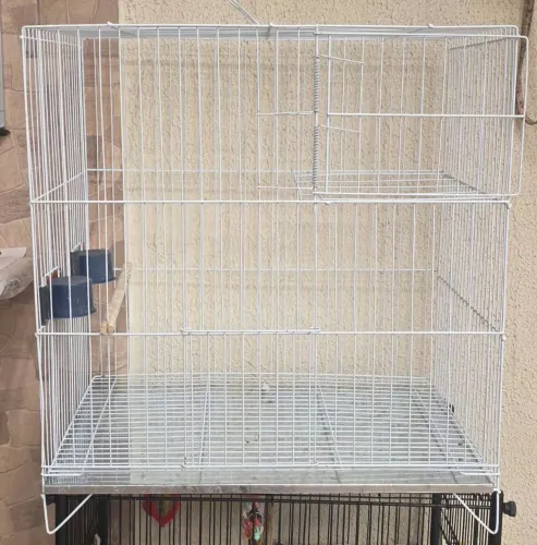 Gaiola para calopsitas