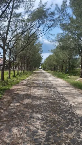 Vendo terreno de 300 M2, próximo ao mar na rua mais charmosa de Balneário Gaivota