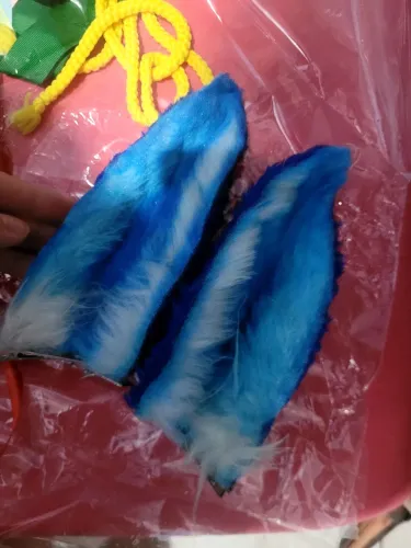 orelhinhas azuis