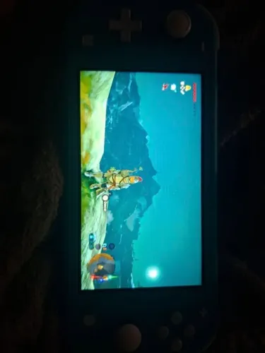 Nintendo Switch Lite Desbloqueado