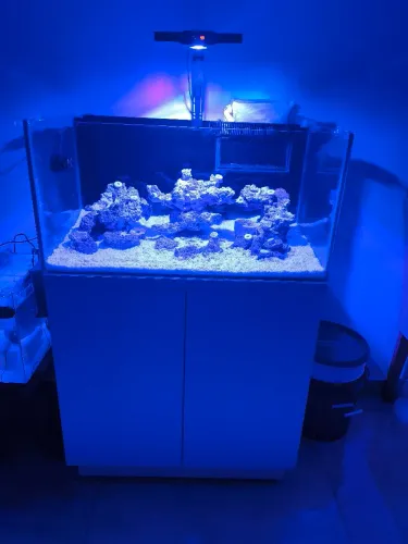 Aquário 130 litros 80*40*40