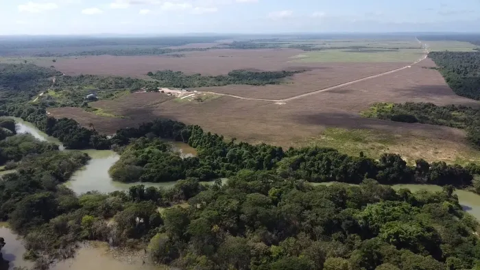 FAZENDA 2.500 HECTARES ALTÍSSIMA PRODUTIVIDADE 2.000 HA PLANTANDO ULIANÓPOLIS / MARANHÃ