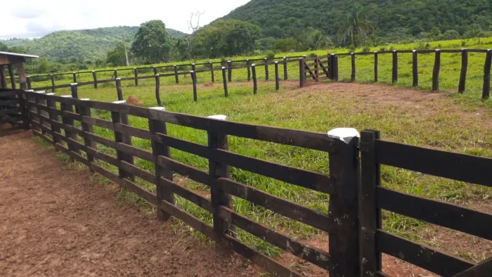 Vendo fazenda de 1.350 hectares dupla aptidão