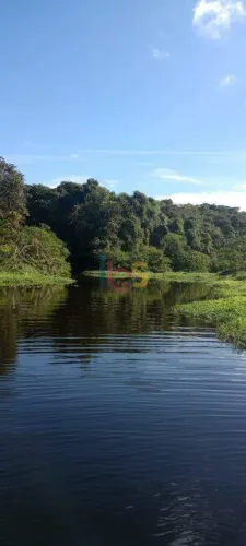 VENDO FAZENDA COM 109ha - ITAJUÍPE