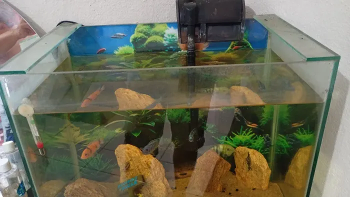 Aquário 50x30x45 não tem o móveis
