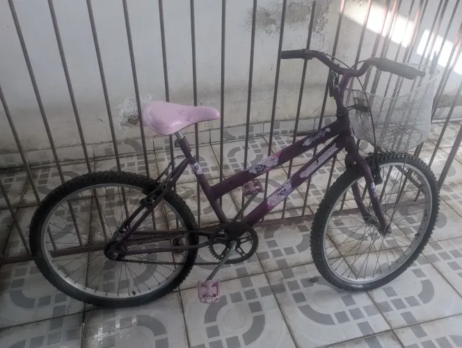 Bicicleta Aro 24