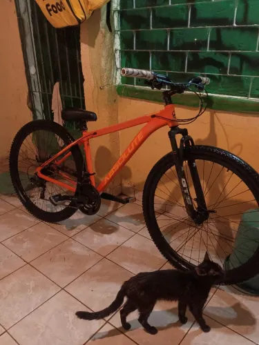 Bicicleta absolute nero