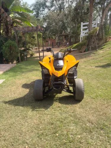Quadriciclo 250cc 4x2 Ano 2015 - Revisado e Pronto para Uso!
