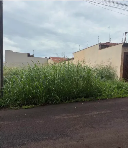 VENDE SE ESSE TERRENO NO JARDIM CAJUBA EM SERTAOZINHO SP *