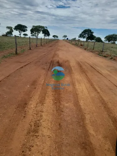 Fazenda 164 Alqueires ou 793 Hectares Safra e Safrinha Ipameri - GO