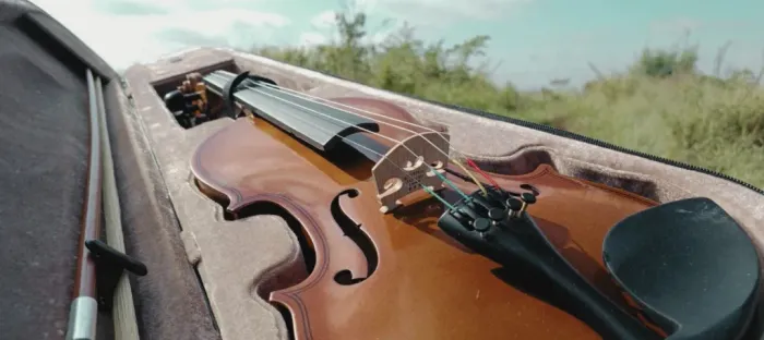 violino