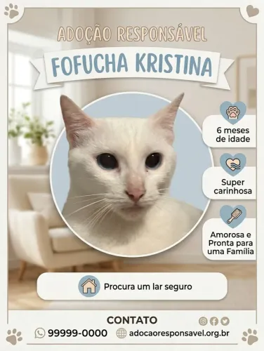 Gatas adolescentes procuram um lar