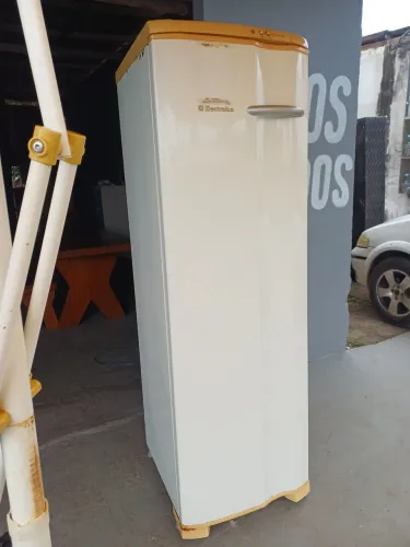 Frezzer vertical 