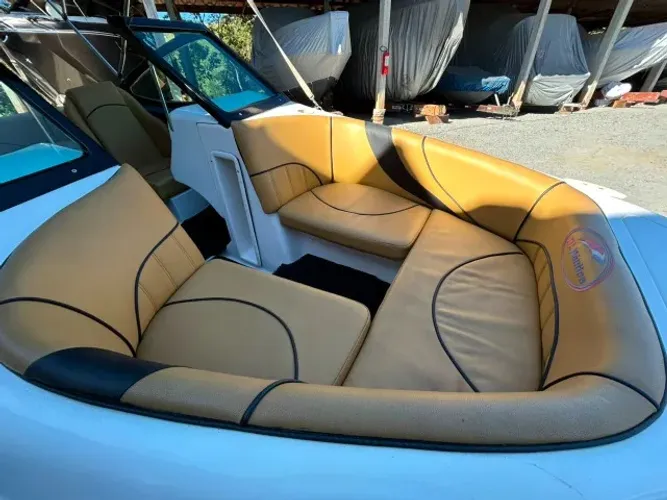 Lancha 2019 Motor Mercury 115 HP