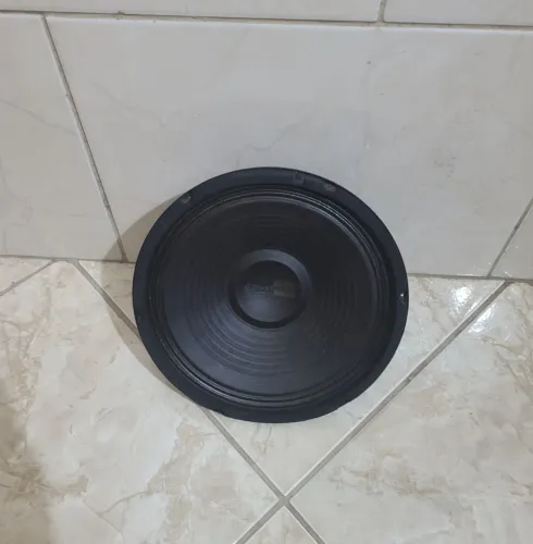 ALTO FALANTE 10 POL. 200 WATTS