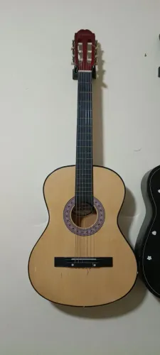 Violão Waldman semi-novo