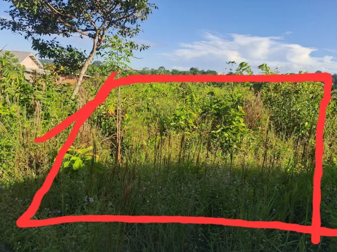 Terreno 