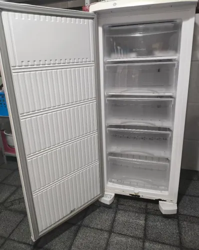 Freezer vertical