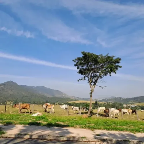 ? Área 61 Mil m² em Atibaia | Ideal p/ Condomínio e Loteamento