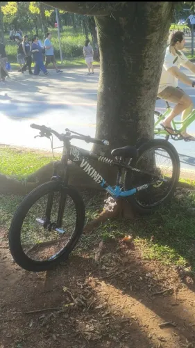 Bicicleta vikingx tuff 25