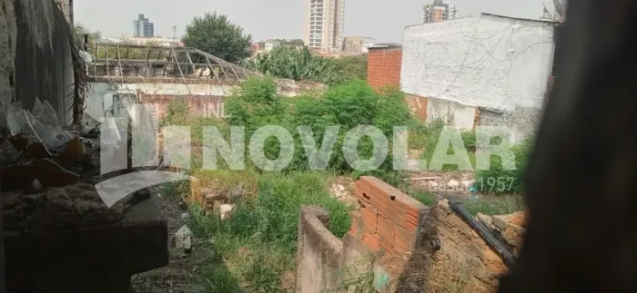 Terreno para venda em Vila Maria