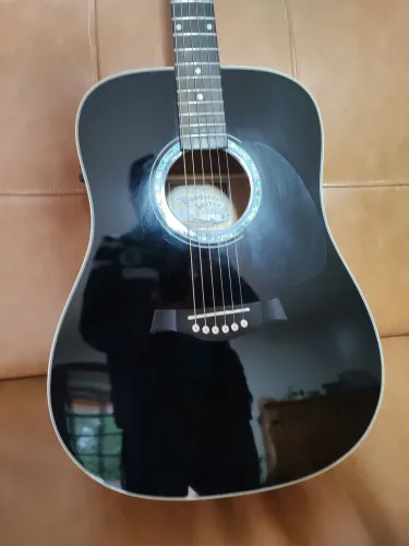 Violão Tagima Woodstock TW25 