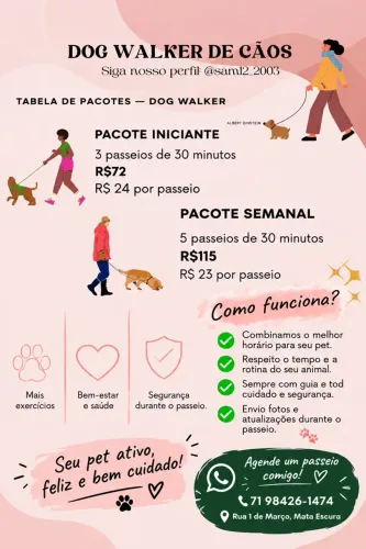 Dog Walker em Salvador ? | Passeio para Pets