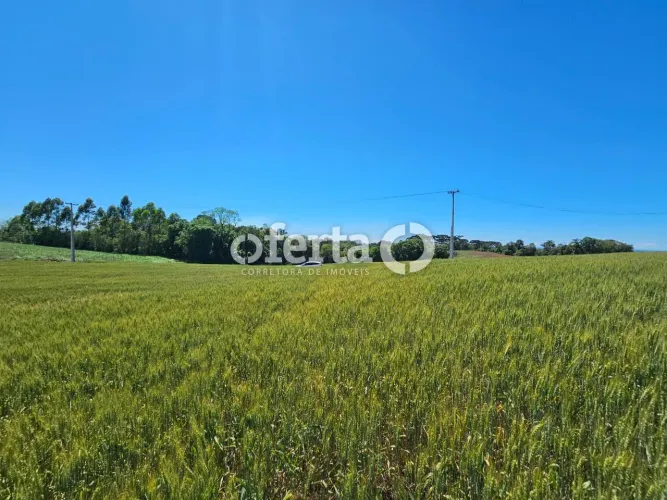 Chácara em Araucária