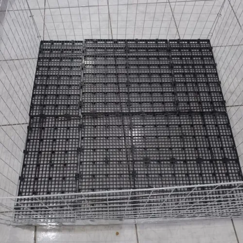 Pallets Plásticos Novos para Piso de Canil