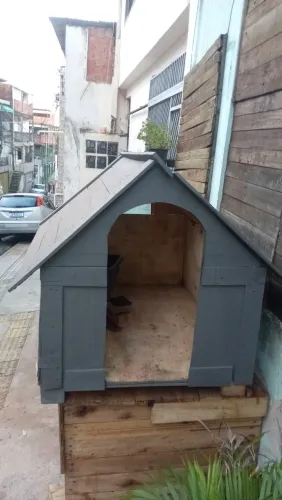 Casa de cachorro 