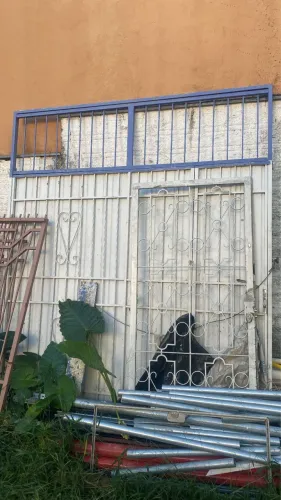 portão branco 