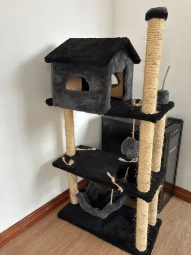 Casa arranhador gato!