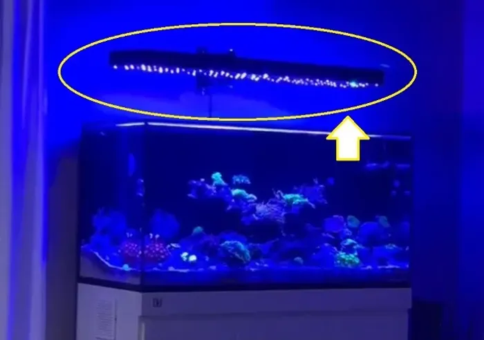 Luminária Led DIY para Aquário Marinho e Plantado