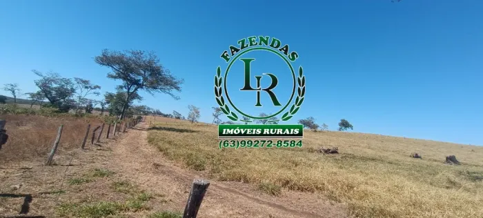 Fazenda Pecuária, Área 116 alqueires, Próximo a Palmas