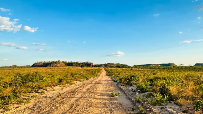 Fazenda com Dupla Aptidão em Goiatins (TO)