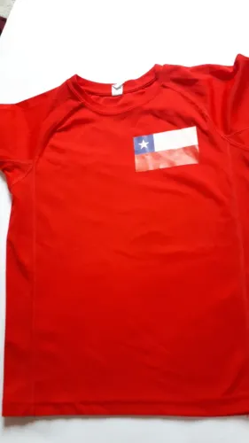 Camisa Infantil Seminova da Seleção do Chile Marca Roly em muito bom estado