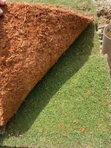 Gramado em placa para jardim
