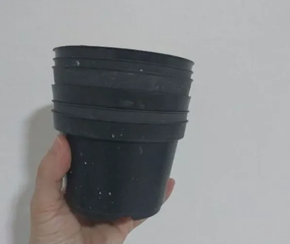 Vinte e um vasos de plantas, diversos tamanho