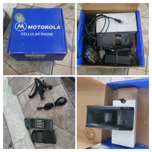 Celular staartac