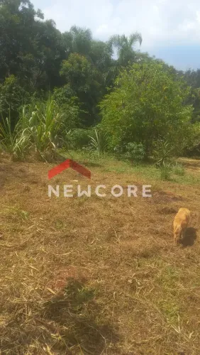 Lote em Rua Doutor André Stucchi - Parque Itararé - Embu-Guaçu/SP