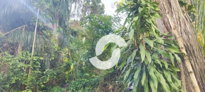 Terreno à venda, 500 m² por R$ 1.950.000,00 - Santa Rosa - Niterói/RJ