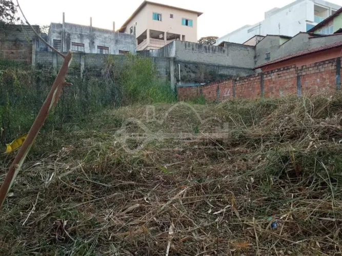 Lote à venda, Santa Amélia - Belo Horizonte/MG