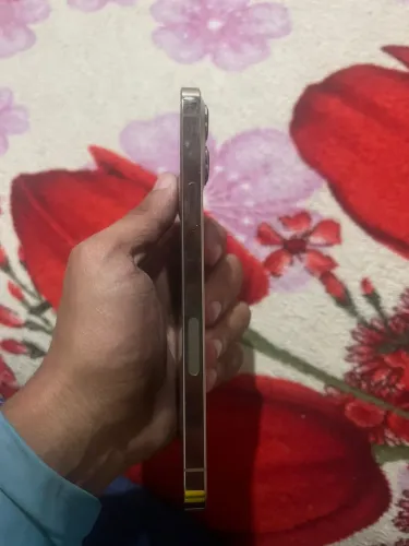 Iphone 13 pro max 256GB