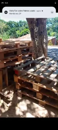 Paletes