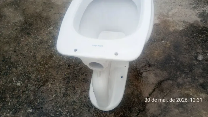 vazo sanitario