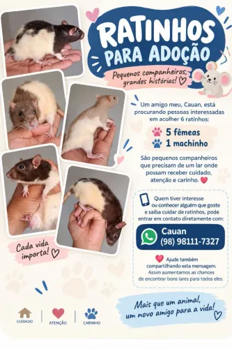 Rato petz