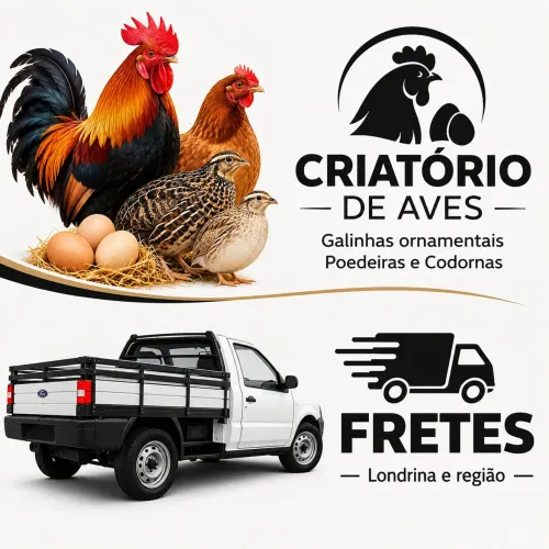 Criatório, Fretes e Construção a Seco em Light Steel Freming