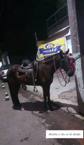 Egua registrada no definitivo 20mil