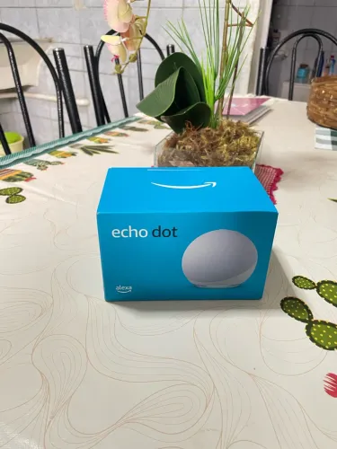 Alexa Echo Dot
