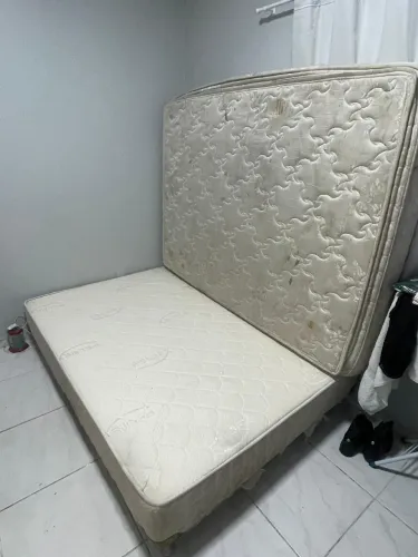Cama 